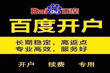 搜索引擎营销（SEM）服务案例分享